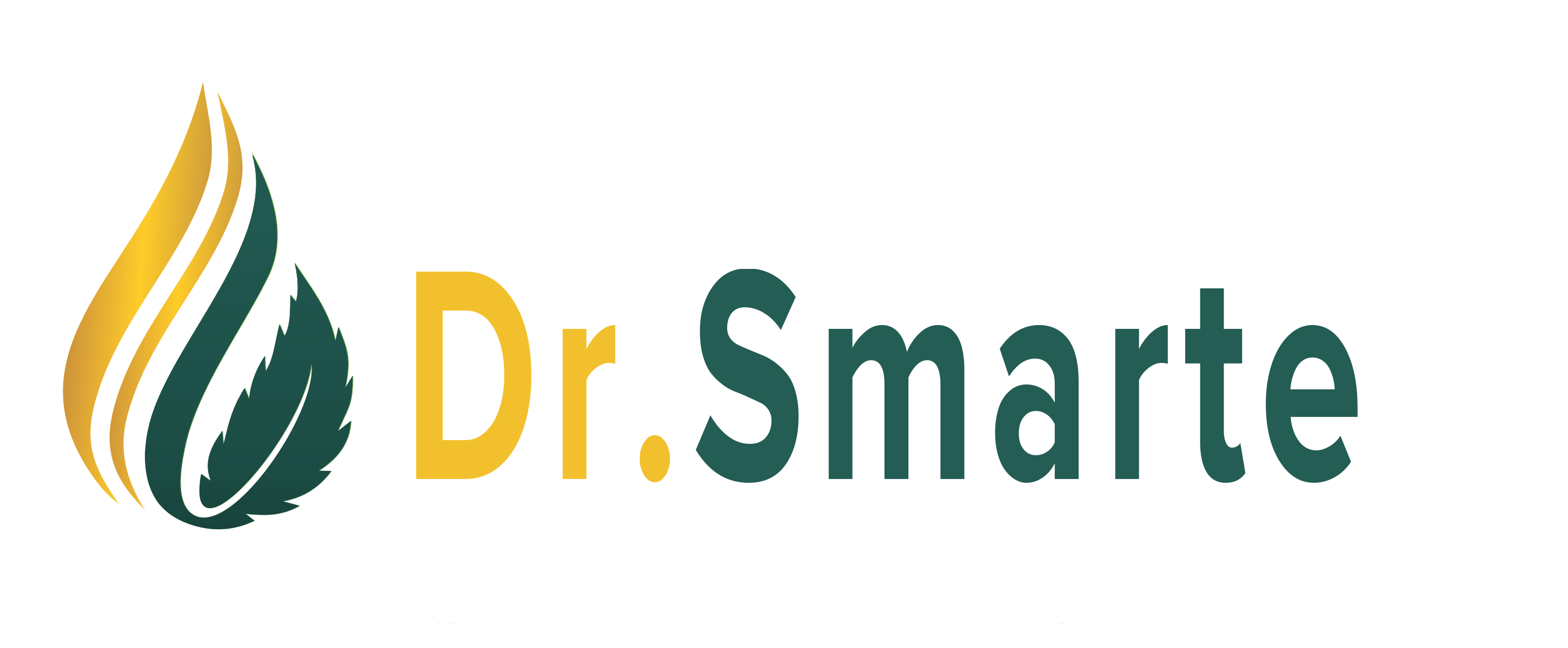 Dr-smarte-logo